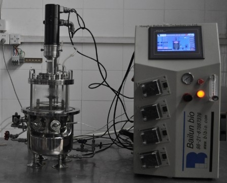 Fermentadores de vidrio (Escritorio esterilizado en agitación mecánica in situ)