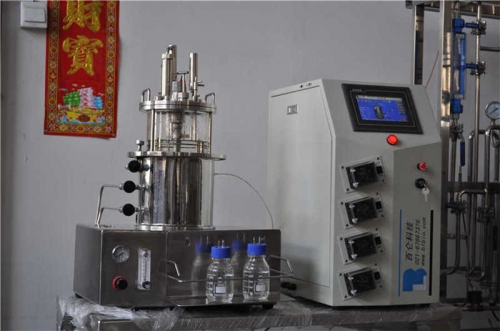 Fermentadores de vidrio (Escritorio esterilizado en agitación magnética situ)