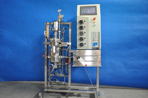 Fotobiorreactor inoxidable